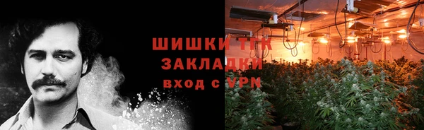 индика Володарск