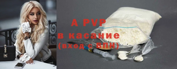индика Володарск