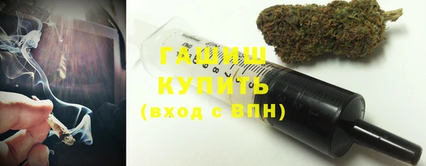 индика Володарск