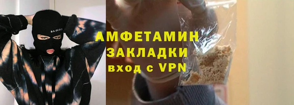 индика Володарск