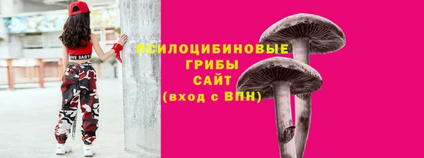 СК Верхний Тагил