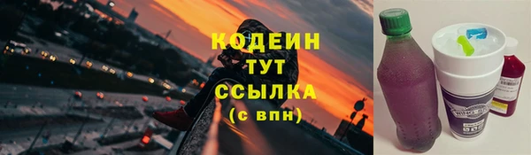 индика Володарск