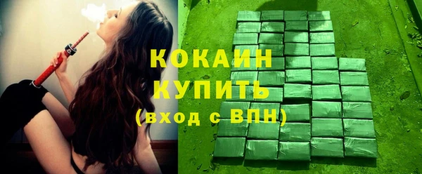 индика Володарск