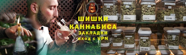 индика Володарск