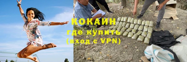 индика Володарск