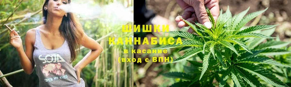 индика Володарск