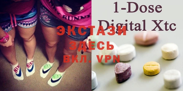 индика Володарск