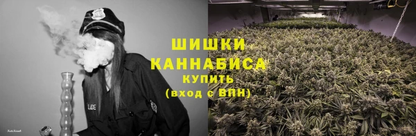 индика Володарск