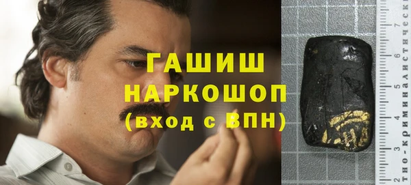 индика Володарск