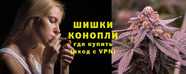 молекула духа Волоколамск