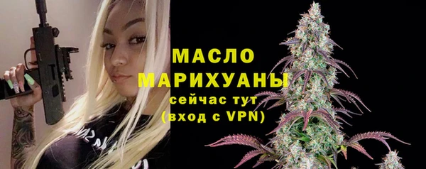 молекула духа Волоколамск